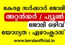 Attander/Peon Category 133/2025