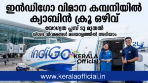 Indigo Job Interview 2026