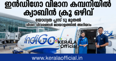 Indigo Job Interview 2026 Indigo Job Interview 2026