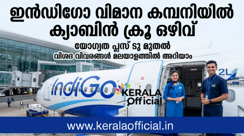 Indigo Job Interview 2026