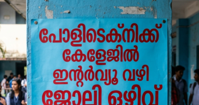 Polytechnic Temporary job