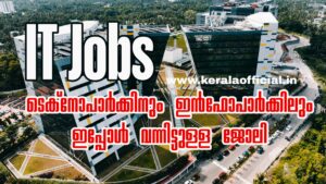 IT Job Vacancy 2026 Apply Now