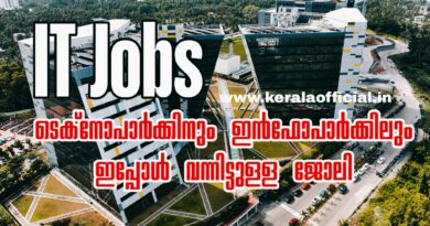 IT Job Vacancy 2026 Apply Now