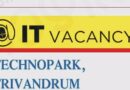 IT Job Vacancy Apply Now
