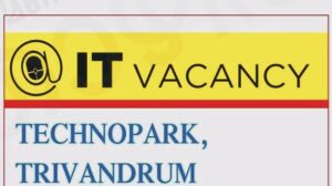 IT Job Vacancy Apply Now